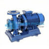 Bơm trục ngang OEM ISW65-125 IE3