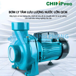 Bơm nước lưu lượng lớn